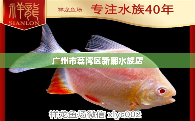 广州市荔湾区新潮水族店