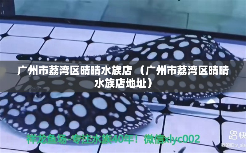 广州市荔湾区晴晴水族店 （广州市荔湾区晴晴水族店地址）