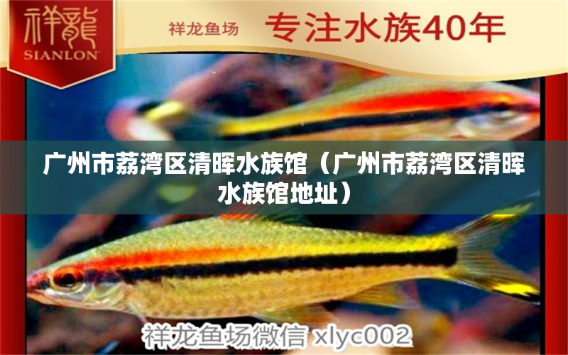 广州市荔湾区清晖水族馆（广州市荔湾区清晖水族馆地址） 全国水族馆企业名录