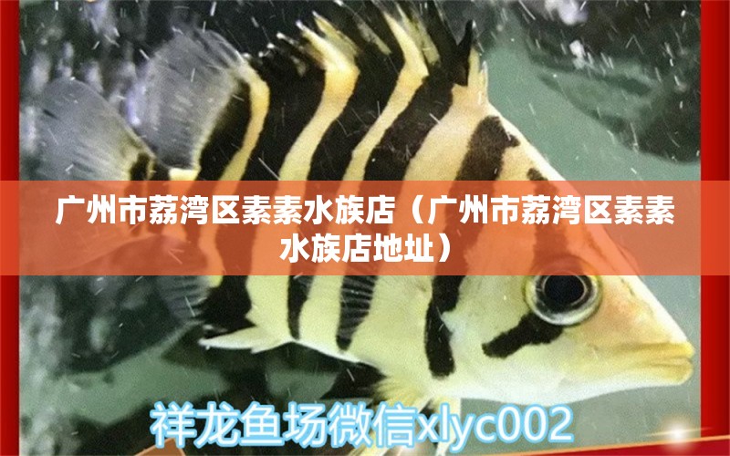 广州市荔湾区素素水族店（广州市荔湾区素素水族店地址）