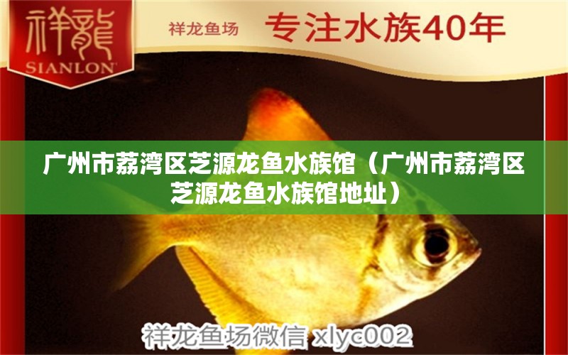 广州市荔湾区芝源龙鱼水族馆（广州市荔湾区芝源龙鱼水族馆地址） 全国水族馆企业名录