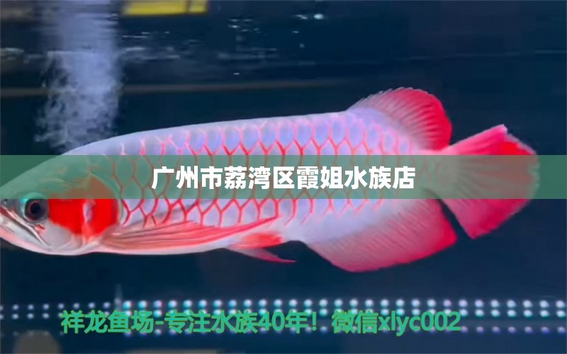 广州市荔湾区霞姐水族店