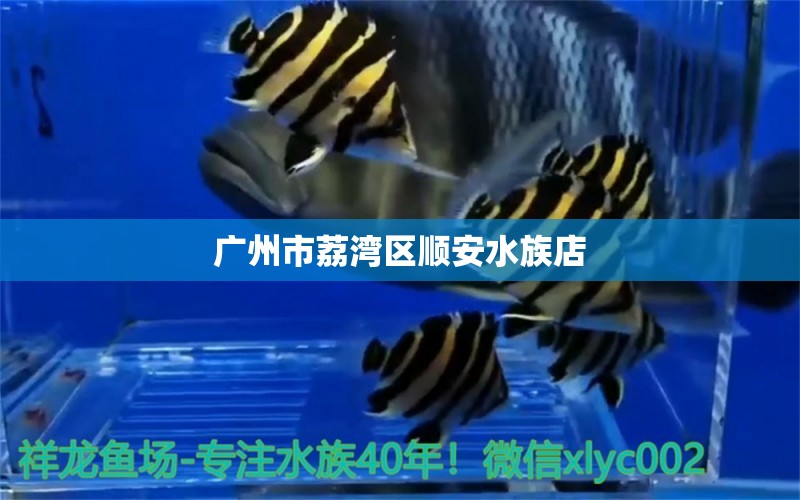 广州市荔湾区顺安水族店 全国水族馆企业名录