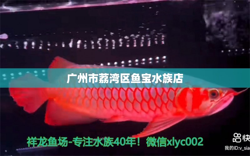 广州市荔湾区鱼宝水族店 全国水族馆企业名录