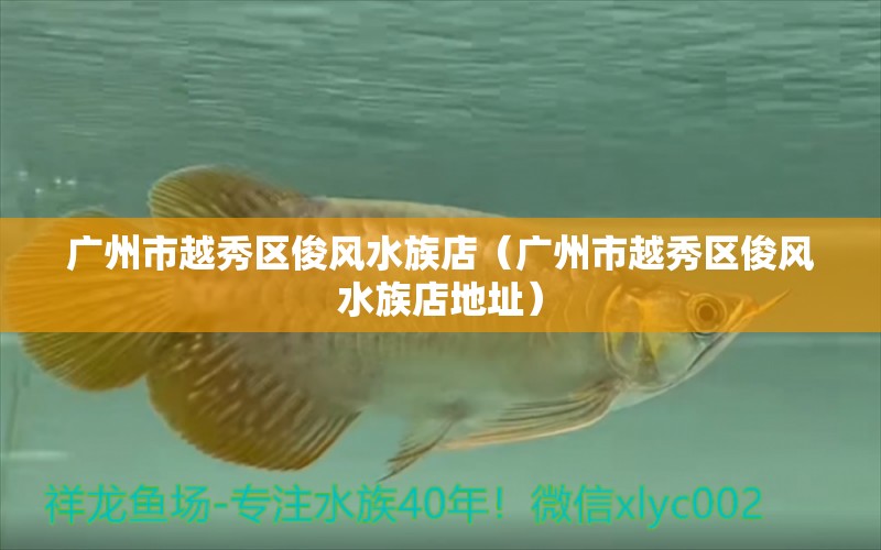 广州市越秀区俊风水族店（广州市越秀区俊风水族店地址） 鱼缸风水