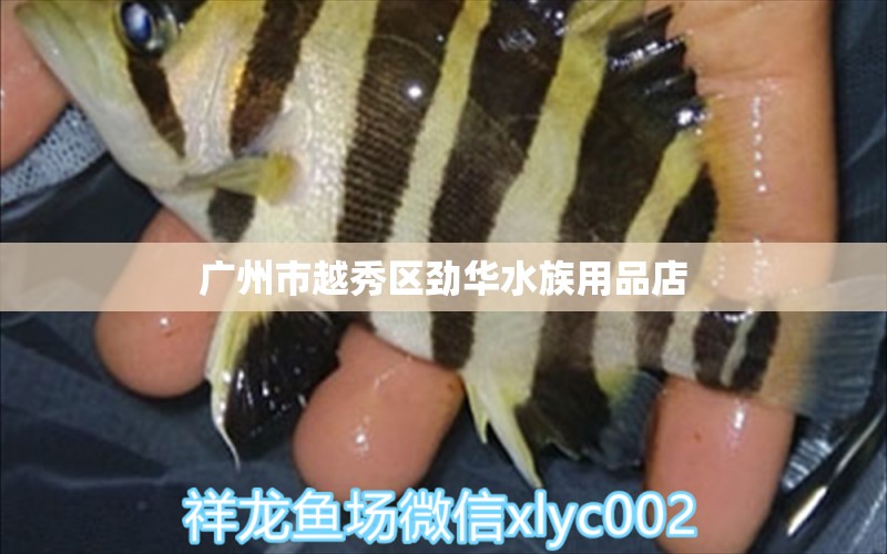 广州市越秀区劲华水族用品店 水族用品