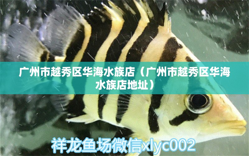 广州市越秀区华海水族店（广州市越秀区华海水族店地址） 全国水族馆企业名录