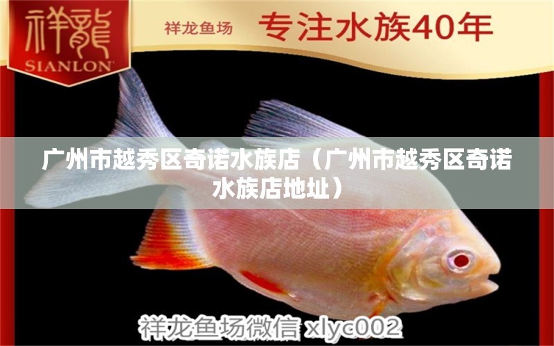 广州市越秀区奇诺水族店（广州市越秀区奇诺水族店地址） 全国水族馆企业名录