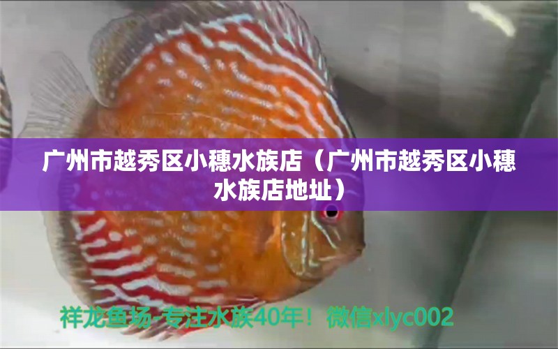 广州市越秀区小穗水族店（广州市越秀区小穗水族店地址）