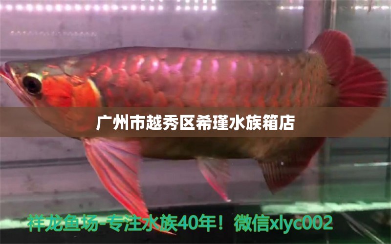 广州市越秀区希瑾水族箱店 鱼缸/水族箱