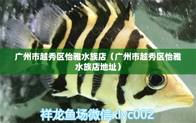 广州市越秀区怡雅水族店（广州市越秀区怡雅水族店地址） 全国水族馆企业名录