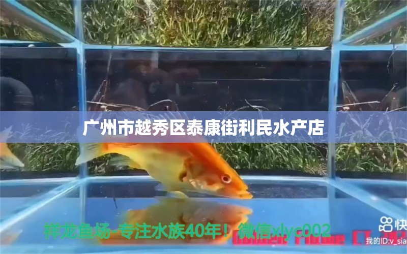 广州市越秀区泰康街利民水产店 全国水族馆企业名录 第2张