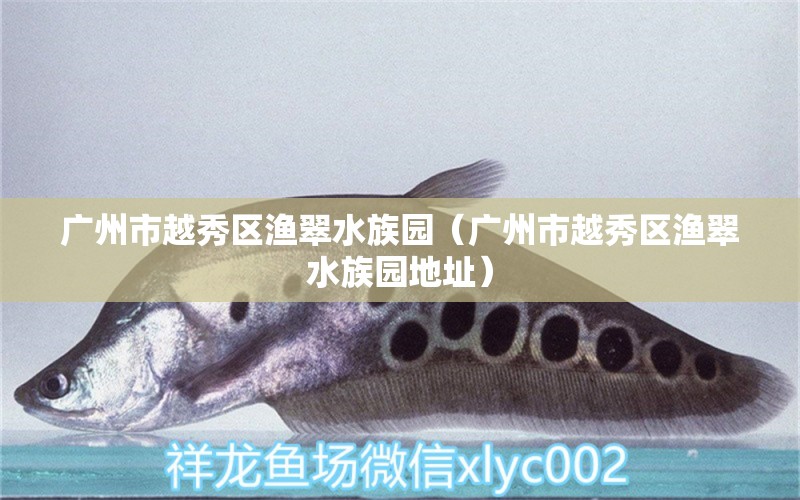 广州市越秀区渔翠水族园（广州市越秀区渔翠水族园地址）