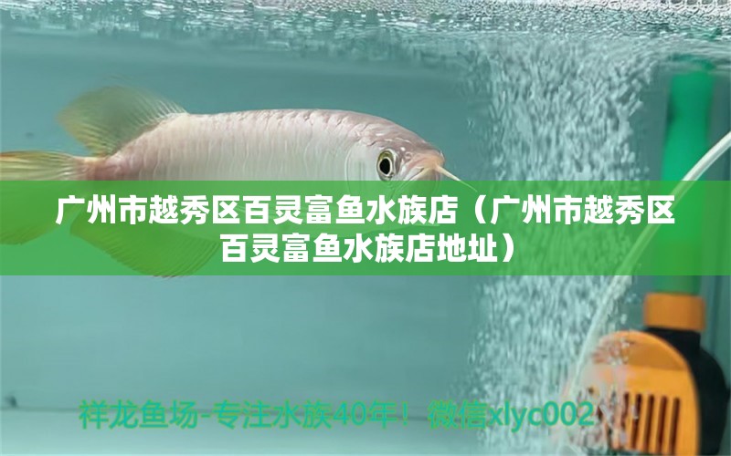 广州市越秀区百灵富鱼水族店（广州市越秀区百灵富鱼水族店地址）