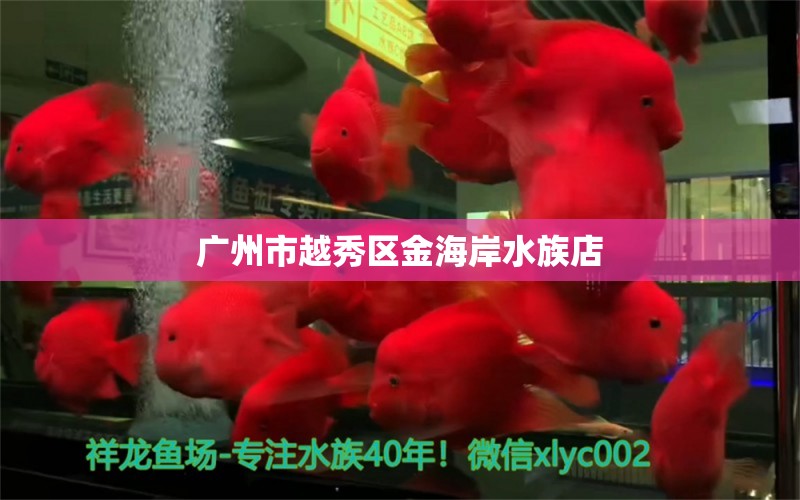 广州市越秀区金海岸水族店