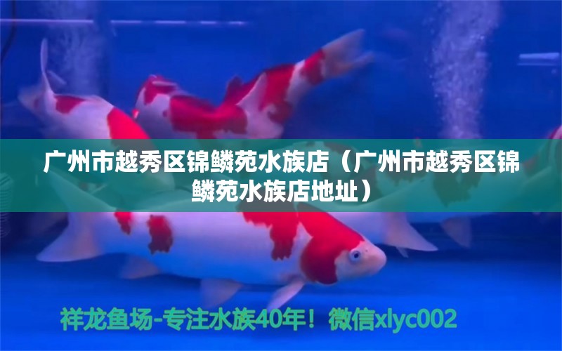 广州市越秀区锦鳞苑水族店（广州市越秀区锦鳞苑水族店地址） 全国水族馆企业名录