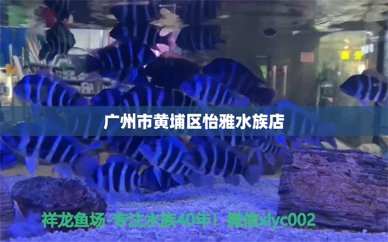 广州市黄埔区怡雅水族店 全国水族馆企业名录