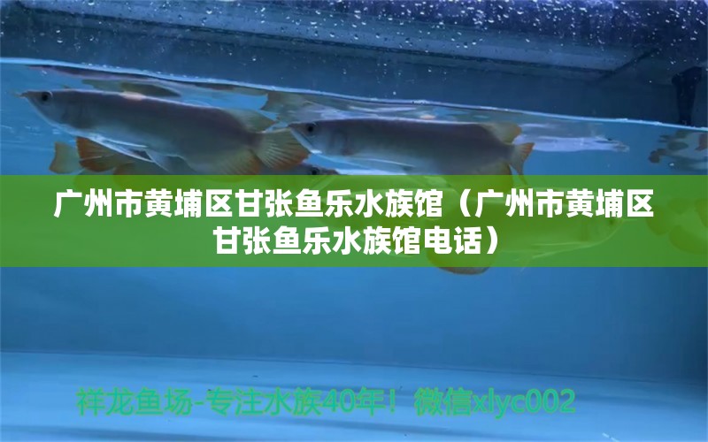 广州市黄埔区甘张鱼乐水族馆（广州市黄埔区甘张鱼乐水族馆电话） 全国水族馆企业名录