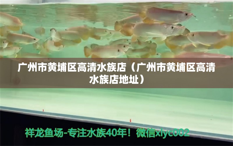 广州市黄埔区高清水族店（广州市黄埔区高清水族店地址） 全国水族馆企业名录