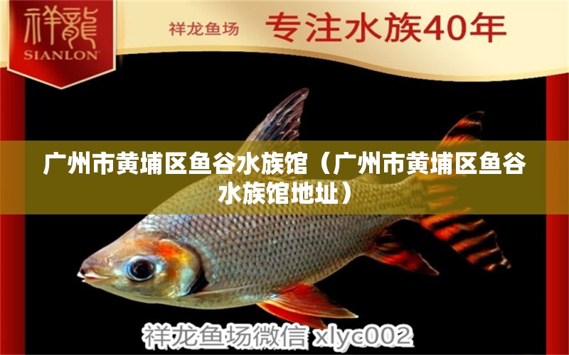 广州市黄埔区鱼谷水族馆（广州市黄埔区鱼谷水族馆地址） 全国水族馆企业名录