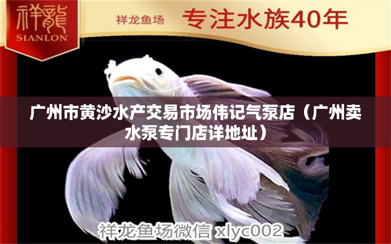 广州市黄沙水产交易市场伟记气泵店（广州卖水泵专门店详地址） 全国水族馆企业名录