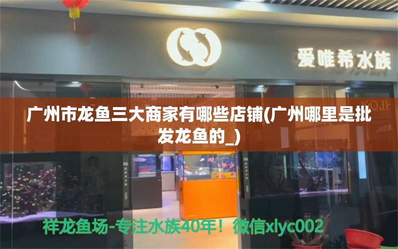 广州市龙鱼三大商家有哪些店铺(广州哪里是批发龙鱼的_) 恐龙王鱼