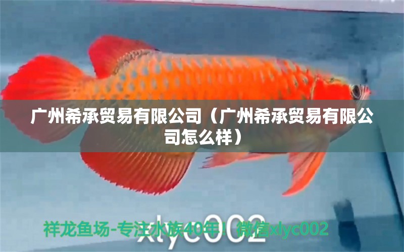 广州希承贸易有限公司（广州希承贸易有限公司怎么样） 全国水族馆企业名录