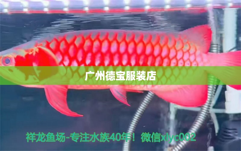 广州德宝服装店 全国水族馆企业名录