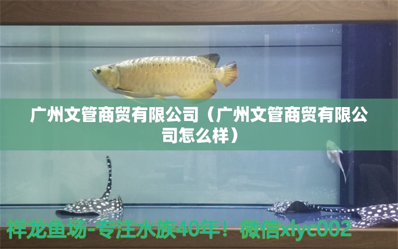 广州文管商贸有限公司（广州文管商贸有限公司怎么样） 全国水族馆企业名录