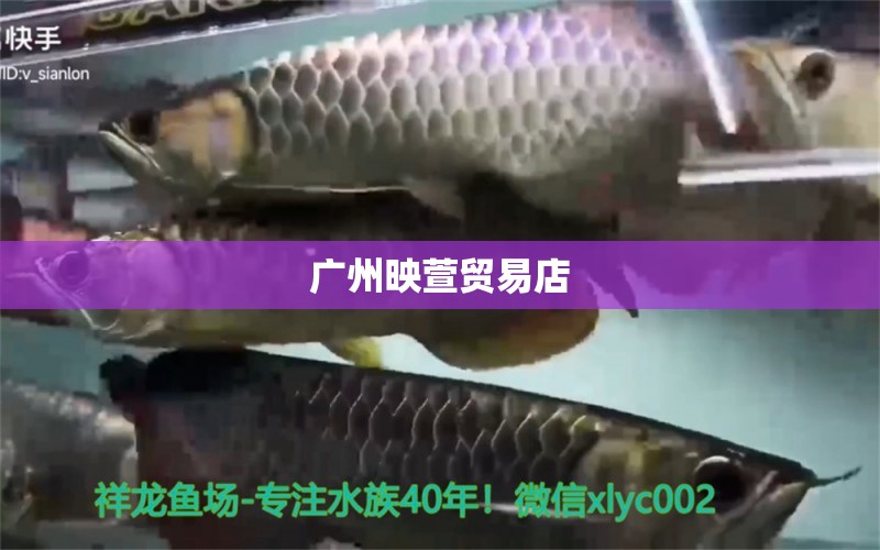 广州映萱贸易店 全国水族馆企业名录