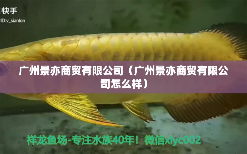 广州景亦商贸有限公司（广州景亦商贸有限公司怎么样） 全国水族馆企业名录