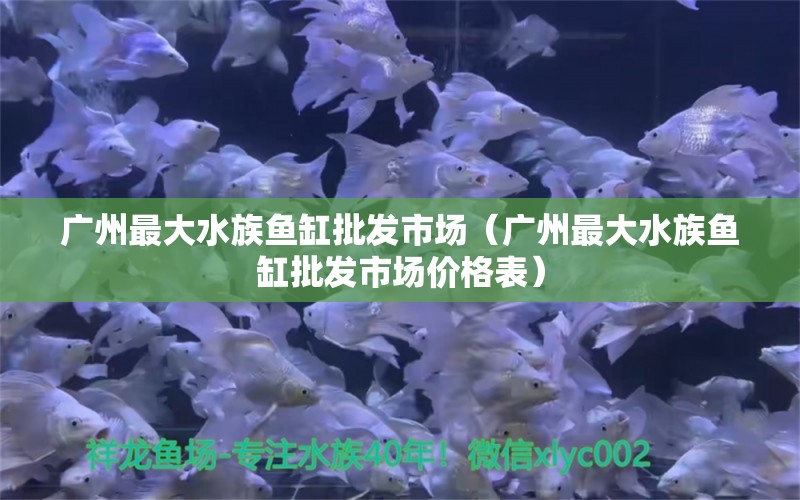 广州最大水族鱼缸批发市场（广州最大水族鱼缸批发市场价格表） 其他品牌鱼缸