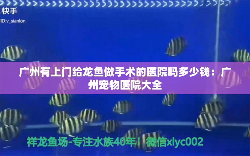 广州有上门给龙鱼做手术的医院吗多少钱：广州宠物医院大全 龙鱼百科 第1张