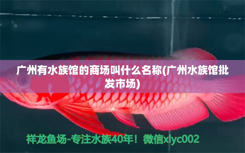 广州有水族馆的商场叫什么名称(广州水族馆批发市场)