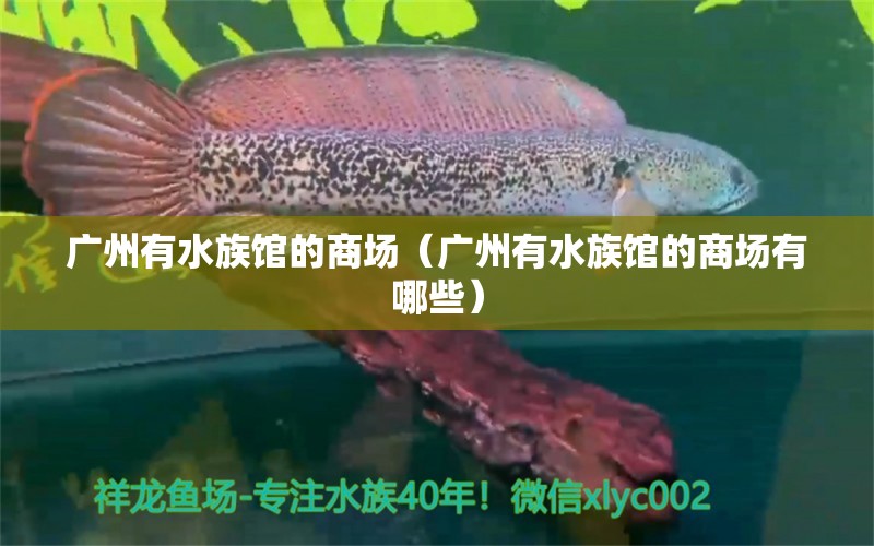 广州有水族馆的商场（广州有水族馆的商场有哪些） 广州水族批发市场