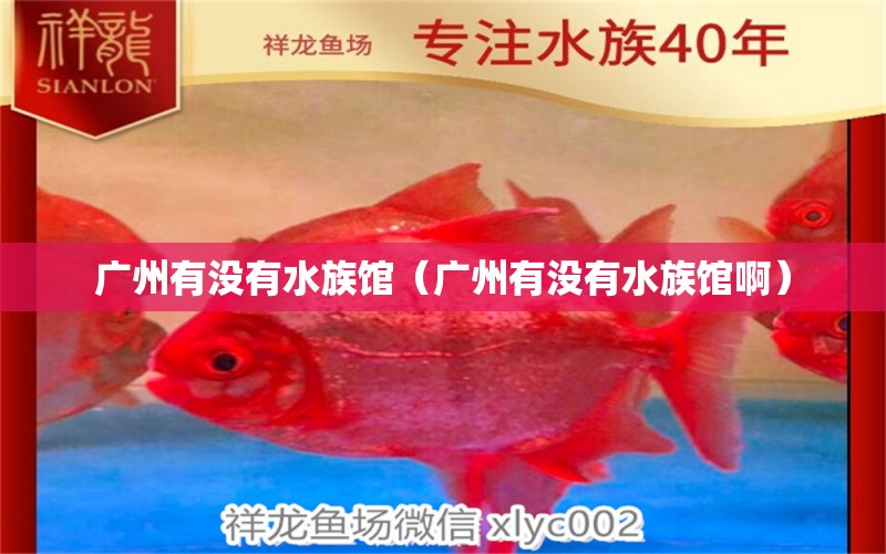 广州有没有水族馆（广州有没有水族馆啊）