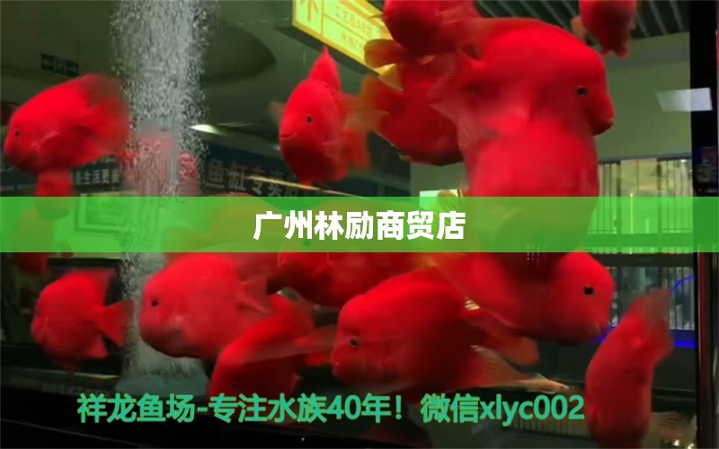 广州林励商贸店 全国水族馆企业名录