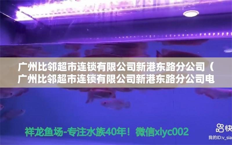 广州比邻超市连锁有限公司新港东路分公司（广州比邻超市连锁有限公司新港东路分公司电话）