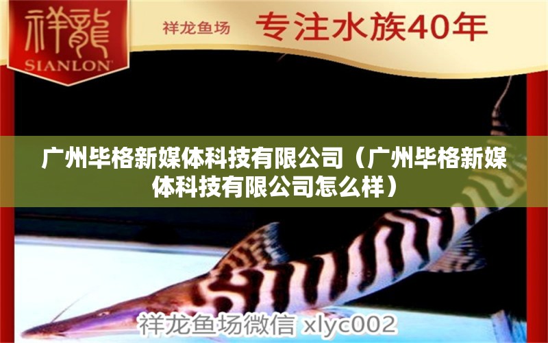 广州毕格新媒体科技有限公司（广州毕格新媒体科技有限公司怎么样） 全国水族馆企业名录