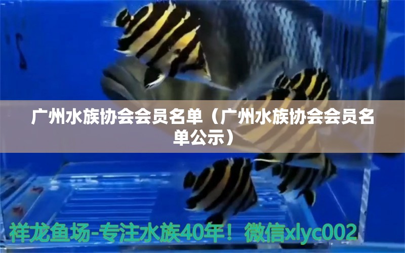 广州水族协会会员名单（广州水族协会会员名单公示）