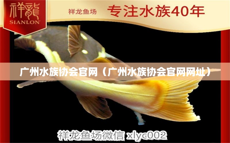 广州水族协会官网（广州水族协会官网网址）