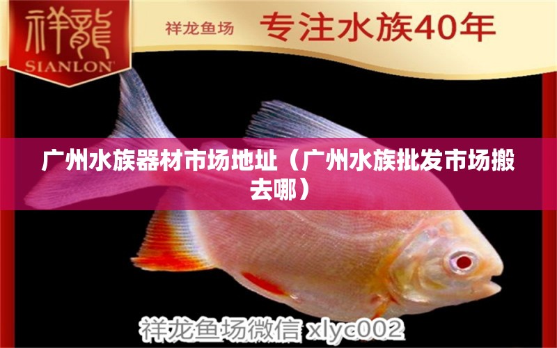 广州水族器材市场地址（广州水族批发市场搬去哪）