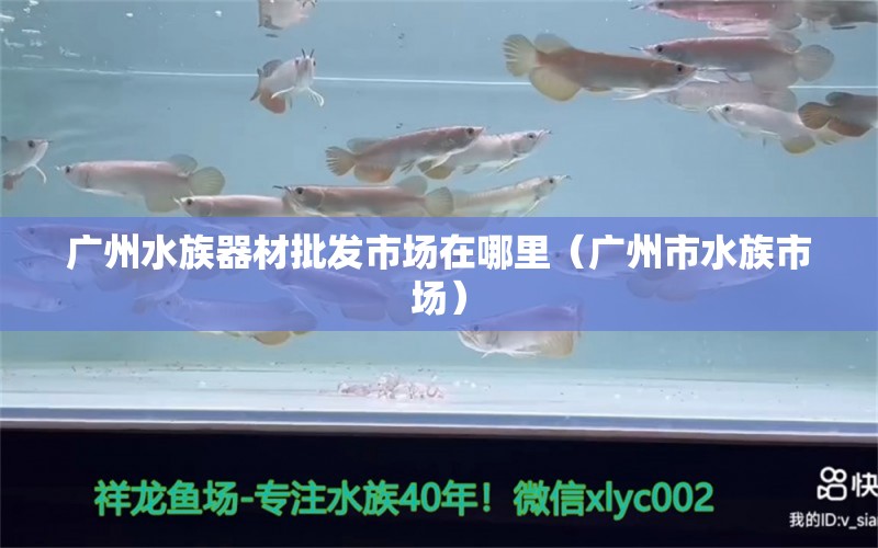 广州水族器材批发市场在哪里（广州市水族市场）