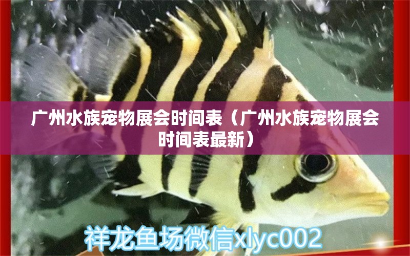 广州水族宠物展会时间表（广州水族宠物展会时间表最新） 观赏鱼