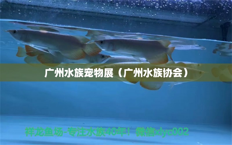 广州水族宠物展（广州水族协会）