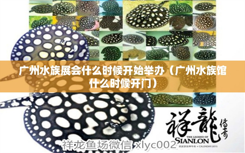 广州水族展会什么时候开始举办（广州水族馆什么时候开门） 水族展会