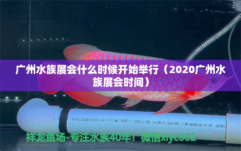 广州水族展会什么时候开始举行（2020广州水族展会时间） 水族展会