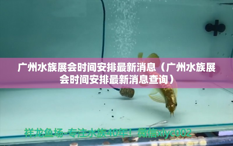 广州水族展会时间安排最新消息（广州水族展会时间安排最新消息查询）