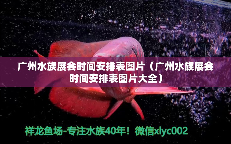 广州水族展会时间安排表图片（广州水族展会时间安排表图片大全） 水族展会