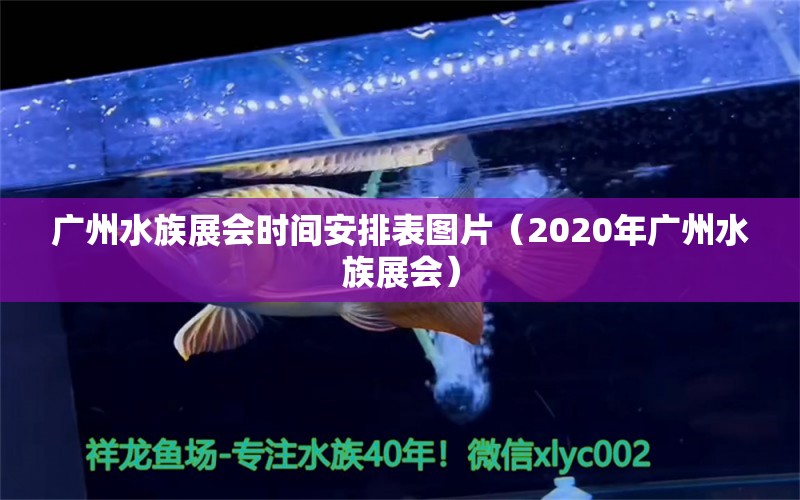 广州水族展会时间安排表图片（2020年广州水族展会）